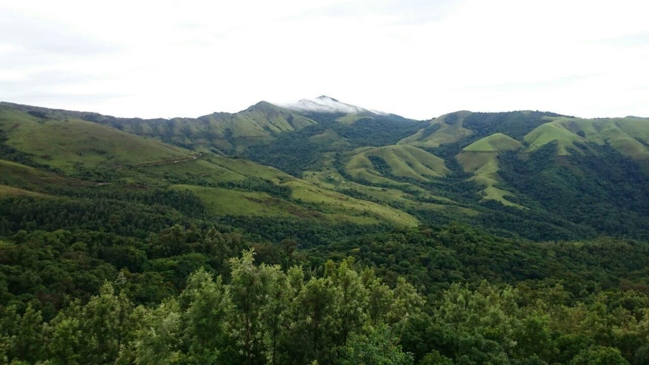 The Greenwood Resort Chikmagalur - Escape To Tranquil Mountain Views Kültér fotó